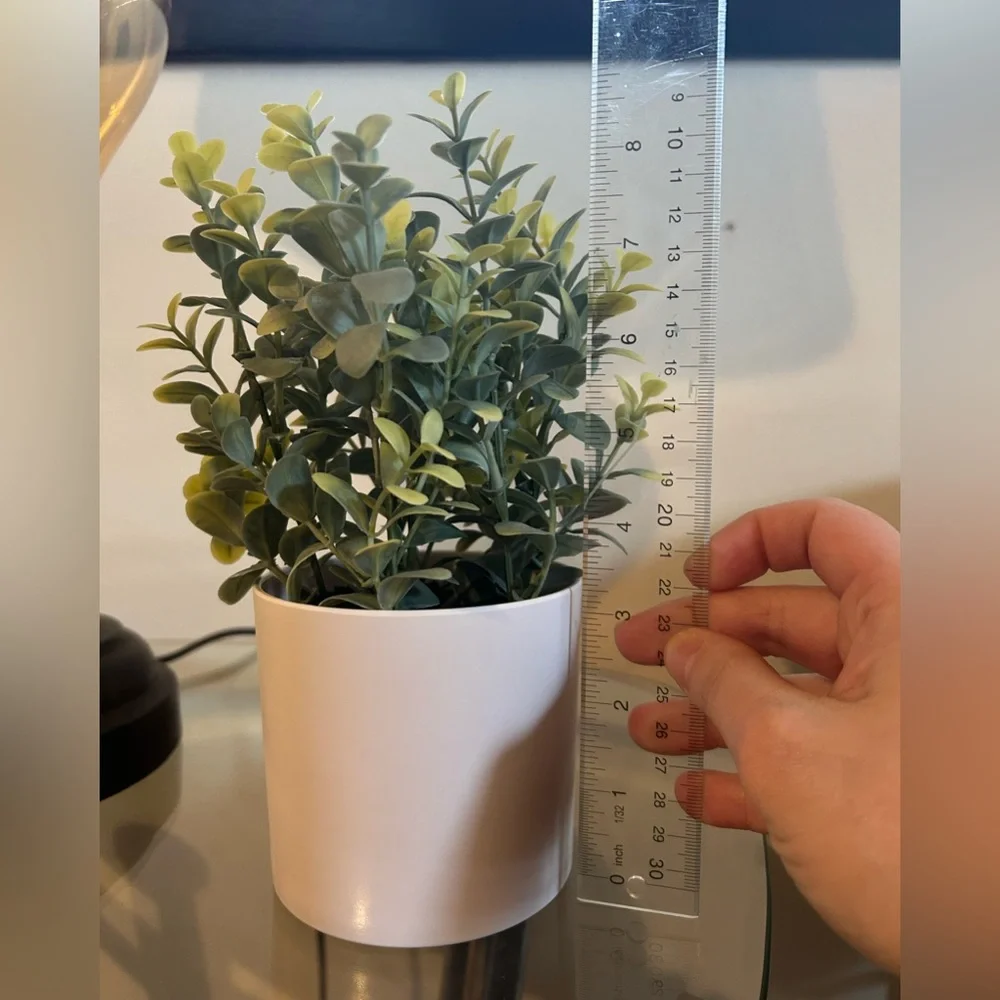 Target Bullseye Artificial Greenery in White Pot